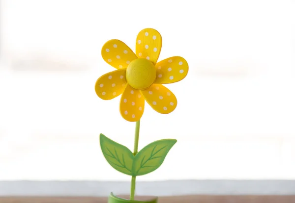 Marguerite Jaune Isolée Sur Fond Blanc — Photo