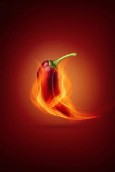 Spicy red pepper roasted on fire. Creative photo of hot jalapeo on fire for packaging and advertising. Food Design poster.