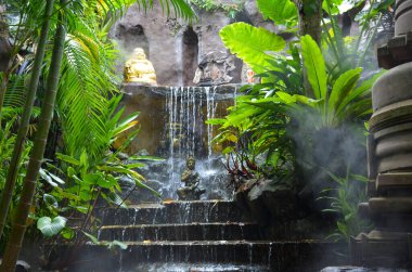 Yeşil yaprakları ve suyu olan güzel bir tropikal bahçe.