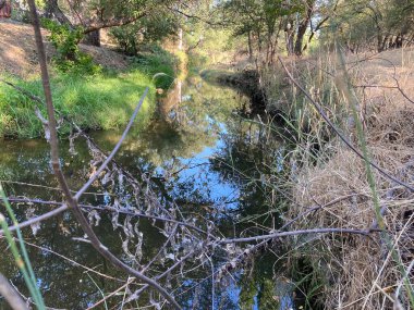 Cirby Deresi açık alanının manzarası 