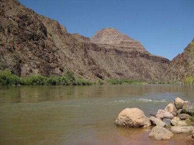 Colorado Nehri, Diamond Creek Yolu, Peach Springs, Arizona 'dan geçerken görülmüş. Yüksek kalite fotoğraf