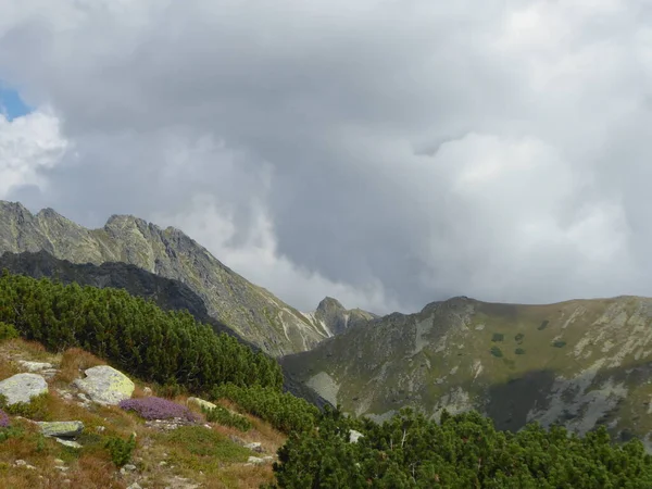 Caminhadas Para Pico Krivan Tatras Eslováquia Agosto 2022 — Fotografia de Stock