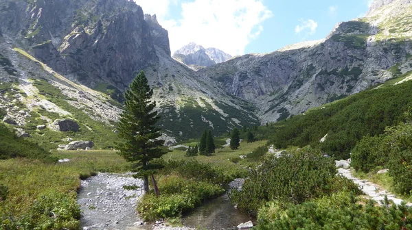 Randonnée Pédestre Vers Teryho Chata Terry Cottage Col Montagne Sedielko — Photo