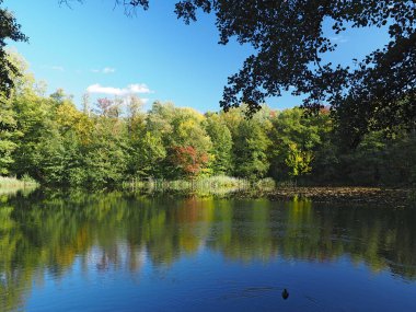 Polonya Pozna 'daki güzel halk parkı / Park Szachty