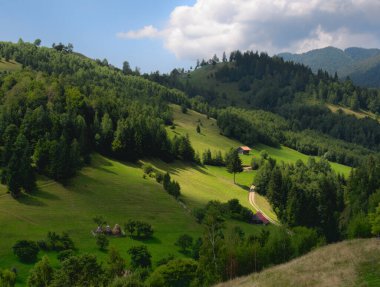 yeşil dağ manzarası, Karpat dağları, Romanya.