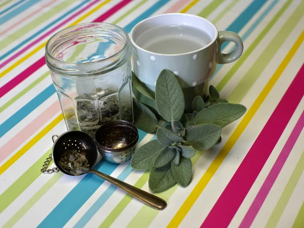 elements of preparation of a sage infusion, on a colored background. A branch of fresh sage, a tea spoon filled with dry sage, a tea ball and a mug of water.