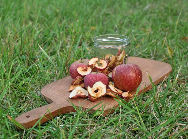 Dried apples and fresh apples placed on a wooden board in the grass.