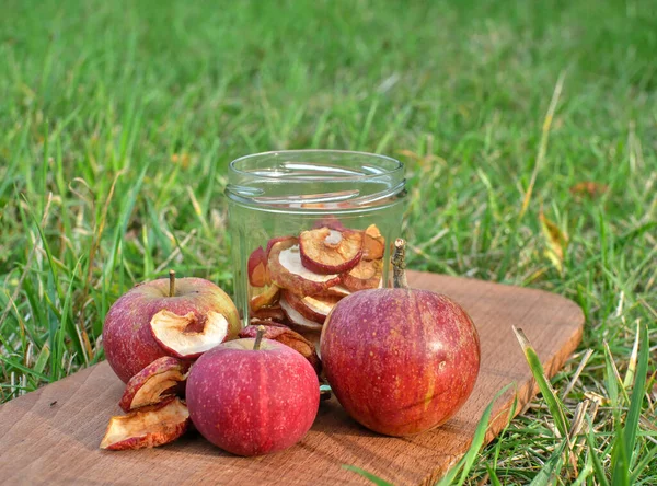 Dried apples and fresh apples placed on a wooden board in the grass.