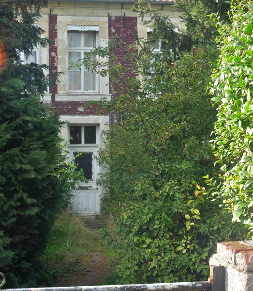 Porta Principale Una Casa Abbandonata Vegetazione Invaso Accesso — Foto Stock