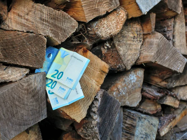 Euro bills inserted in a pile of wood logs. Concept of firewood price increase.