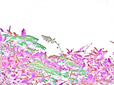 Parlak pembe arka planda bitkisel mor desenler