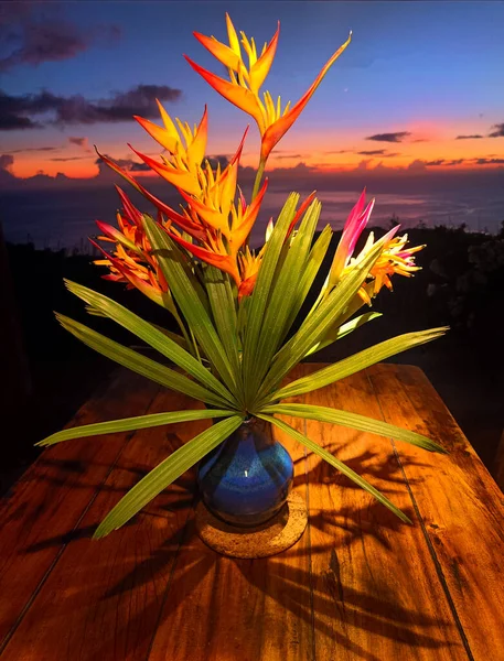 テーブルの上の花瓶に小さなヘリコニアを混ぜドミニカの日没時に表示されます — ストック写真
