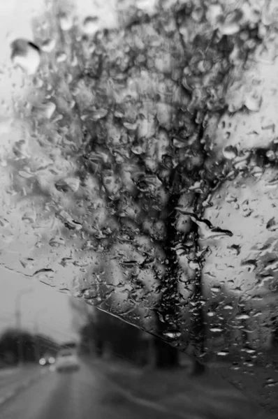Transport Travel Rain — Stock Photo, Image