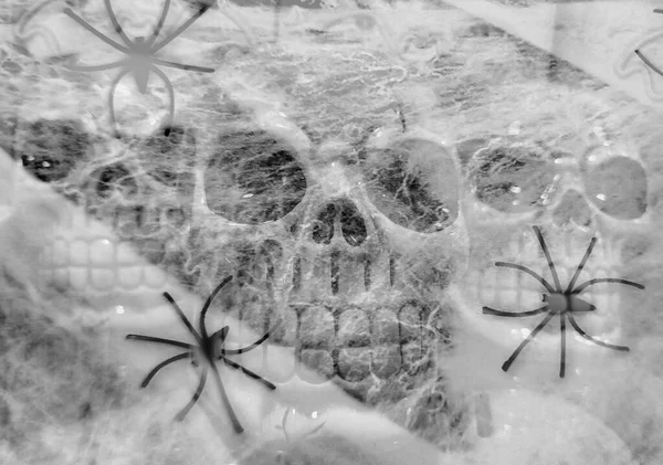 Halloween Conjunto Cráneo Telaraña Cortain Spider Blanco —  Fotos de Stock