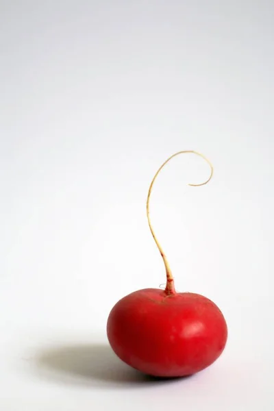 Beyaz arkaplanda turp yakın plan