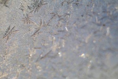 Buz çam, buz oluşumu. Makro fotoğraf. Buz çiçeği. Soyut.,