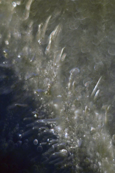 Buz oluşumu. Makro fotoğraf. Soyut.