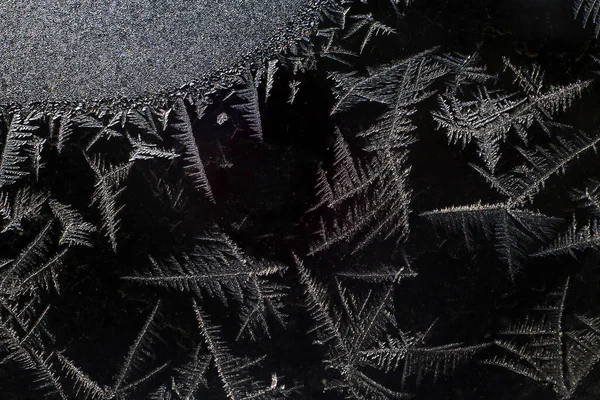 Buz çam, buz oluşumu. Makro fotoğraf. Buz çiçeği. Soyut.,