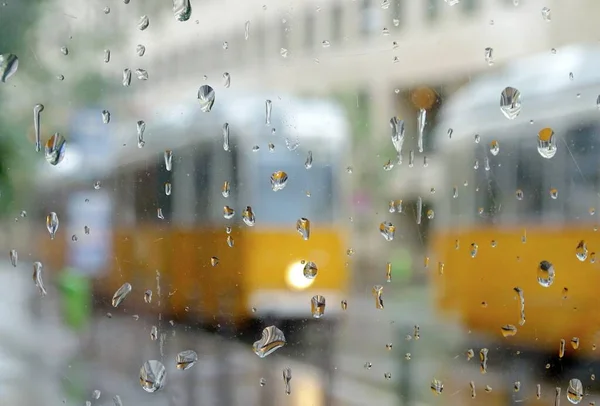 Şehirde yağmur, yollarda tramvaylar.