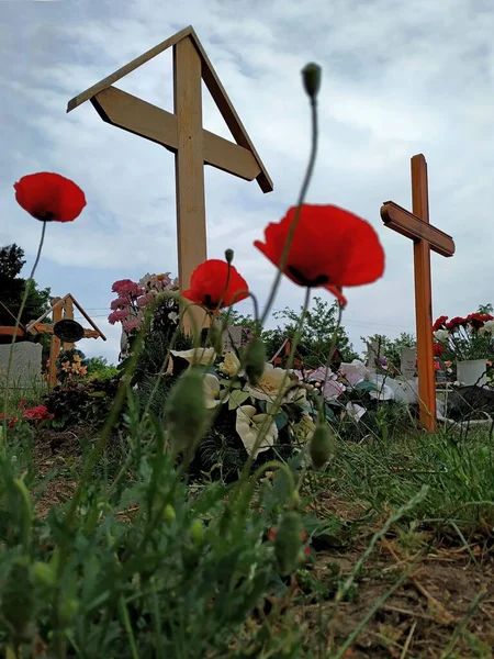 Çiçekli bir mezarlıkta terk edilmiş mezarlar..