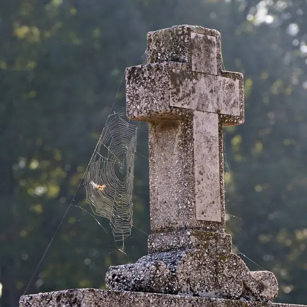 Kříž Hřbitově Pavučinou — Stock fotografie