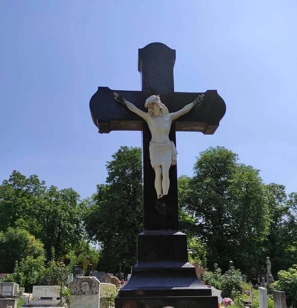 Zohavený Kříž Hřbitově — Stock fotografie