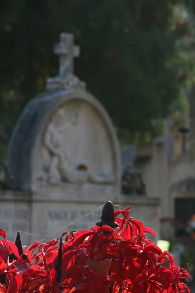 Opuštěné Hroby Květinovém Hřbitově — Stock fotografie