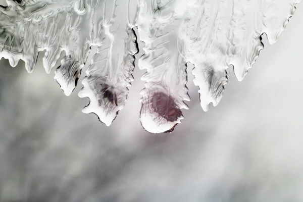 Ice Pines Ice Formation Macro Photo Abstract — Stock Photo, Image