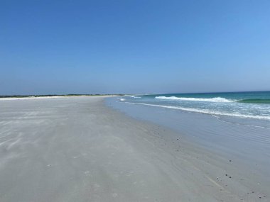 Hawk Sahili 'nde harika bir gün.