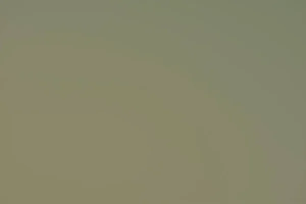 Yumuşak, soyut haki yeşili arka plan, askeri ya da savaş web sitesi ya da duvar kağıdı için kullanışlı ama aynı zamanda ekoloji ve sürdürülebilirlik kavramı.