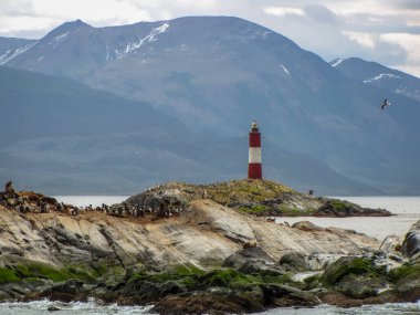 Les Eclaireurs Deniz feneri Ushuaia 'nın ünlü simgesi, Beagle Channel Patagonia