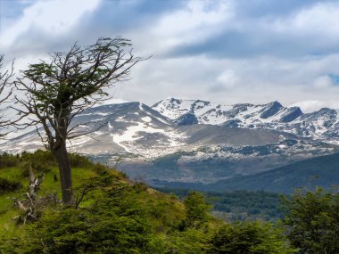 Dağ manzarası Tierra del Fuego, Patagonya