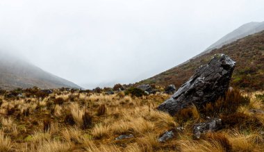 Arthur 'un Geçidi, Yeni Zelanda' daki Dobson Dobson Doğa Yürüyüşü 'nü gösteren büyük bir kaya parçası. Eskiden dağlarda yaşayan antik bir yaratığın burnu gibi görünüyor..