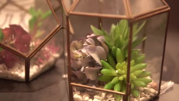 Geometrisch Vijfhoekig Glas Met Bloemen Steentjes Binnenin Oogt Esthetisch — Stockvideo