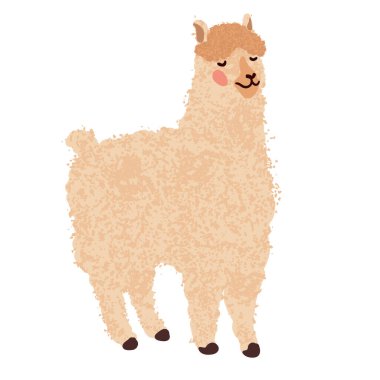 Lama Renkli Resimler