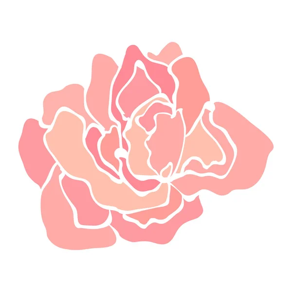 Ilustracja kwiat róży — Wektor stockowy