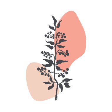 Bitki Kalbi İllüstrasyonu