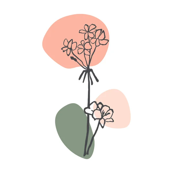 Рослина Барвисті ілюстрації — стоковий вектор