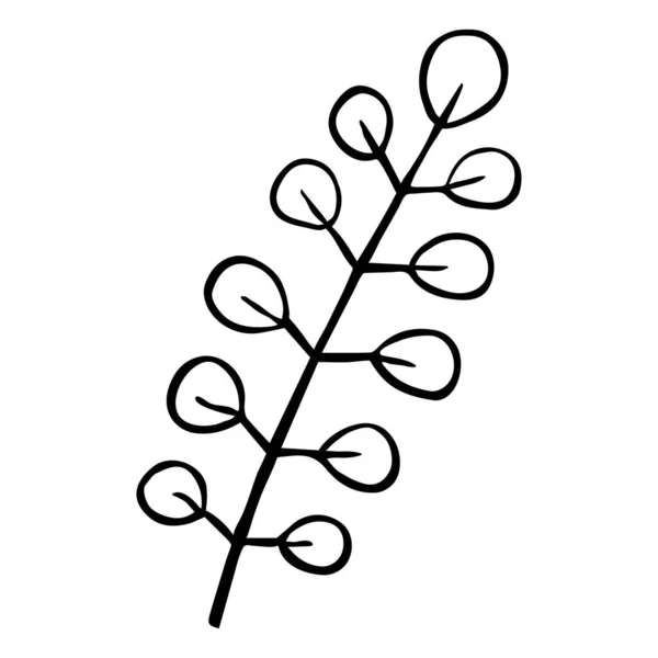 식물의 윤곽 설명 — 스톡 벡터