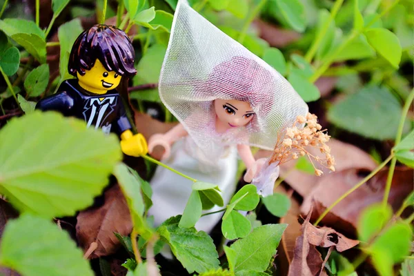 fotografa de legos en da su boda, tarihi kaydet