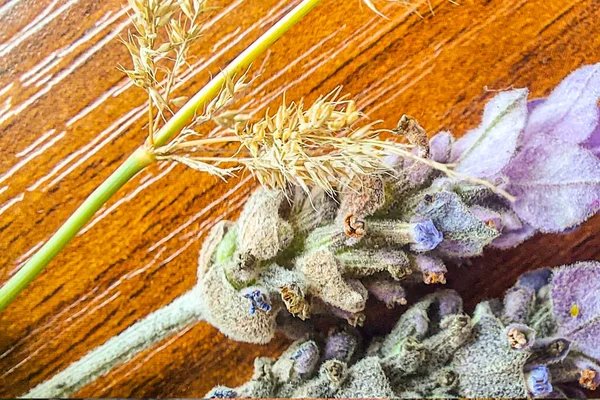 flores de lavanda en fondo de madera