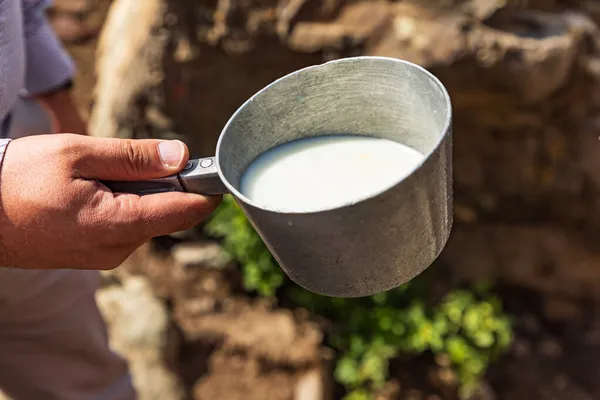 Rabot Gorno Badakhshan Autonomous Province 타지키스탄 타지키스탄의 지역에서 우유를 버터로 — 스톡 사진