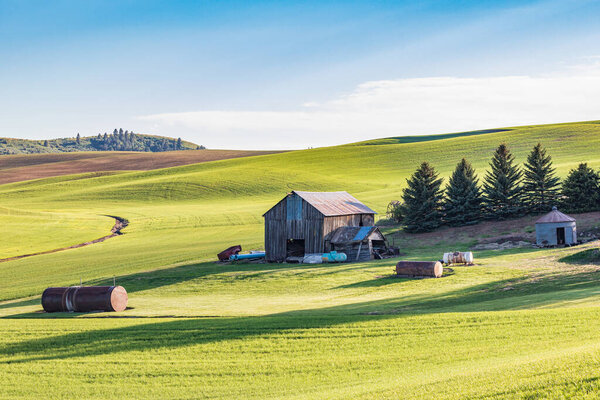 Пуллман, Вашингтон, США. 22 мая 2021 года. Старый амбар на живописной ферме в Палхаус Хиллс. Только польза для здоровья