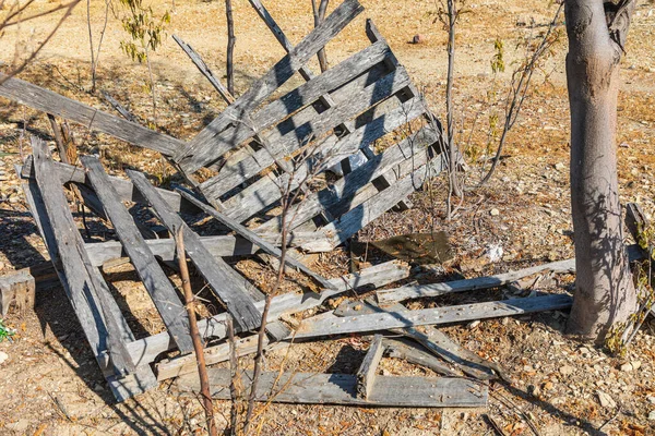 Guadaloupe Paz Baja California Sur Mexiko Eine Kaputte Holzpalette Auf — Stockfoto