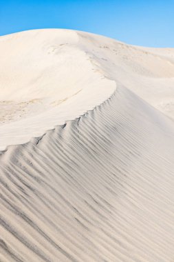 Guerro Negro, Mulege, Baja California Sur, Meksika. Baja yarımadasının batı kıyısındaki kum tepeleri..
