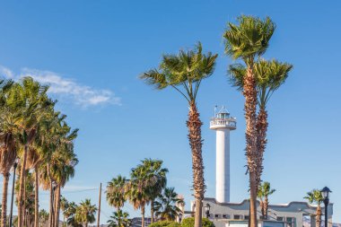 Loreto, Baja California Sur, Meksika. Loreto 'da palmiye ağaçları ve deniz feneri.