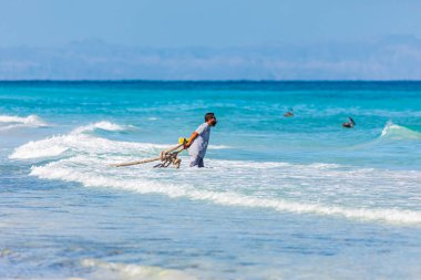 Playa El Tecolote, La Paz, Baja California Sur, Meksika. 12 Kasım 2021. Tecolote Sahili 'nde ip çeken bir balıkçı..