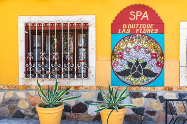 Loreto, Baja California Sur, Meksika. 17 Kasım 2021. Loreto 'da bir çiçekçinin önünde saksı bitkisi..