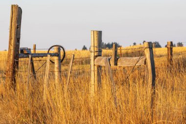USA, Washington State, Whitman County. Palouse. Fence Posts.