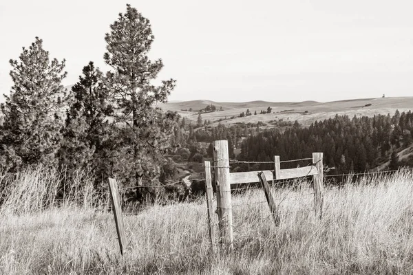 Usa Washington State Whitman County Palouse Barbed Wire Fence Posts — Zdjęcie stockowe